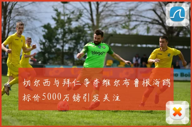 切尔西与拜仁争夺维尔布鲁根海鸥标价5000万镑引发关注