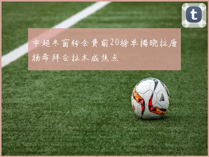 中超冬窗转会费前20榜单揭晓拉唐杨希拜合拉木成焦点